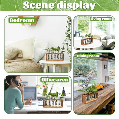 Glass Plant Propagation Station with 5 Test Tubes Colorful Planter Vase Birthday Gifts for Women in Wooden Stand - color: Gray