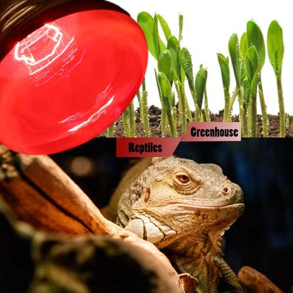 Infrared Lamps 250 Watts Heat Lamp Bulbs, R40 Brooder for Chickens, Infrared Reflector Heat Bulb for Brooder Coop Heater, Incandescent Heating Light Bulb for Food, Pet, Bathroom, Light Therapy, 2 Pack