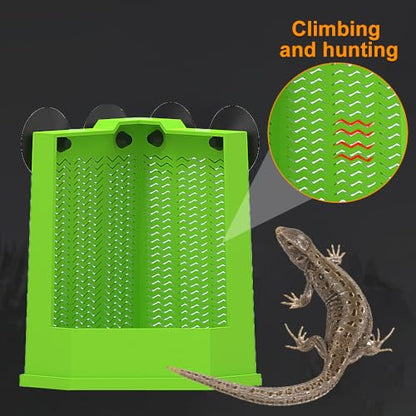 DONGKER Bearded Dragon Feeder,Anti-Escape Lizard Corner Terrarium Bowl with Suction Cups for Lizard Bearded Dragon Gecko Frog