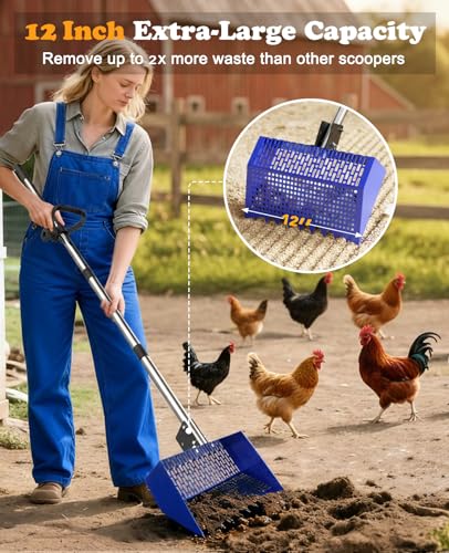 INNOLAND Chicken Poop Scooper & Rake with 3-Angle Adjustable Sifting Shovel, 12" Stainless Steel Chicken Coop Scoop for Sand, 22-64" No-Bend Poultry Litter Cleaner for Chicken Coop & Animals House