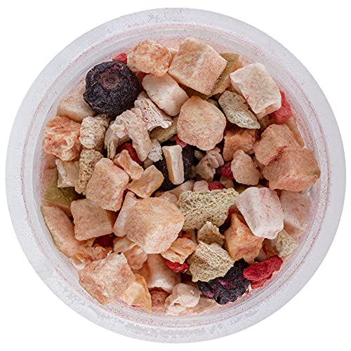 Healthy Herp Fruit Mix Instant Meal Reptile Food - Bearded Dragon Accessories & Bearded Dragon Food - Nutritious Blend for Bearded Dragons, Box Turtles, Tortoises, Hermit Crabs - 7 x 0.21 oz (6g) Cups - size: 1.47 Ounce (Pack of 1), style: 7-Pack Cups