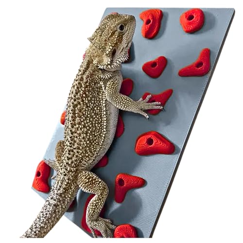 Miniature Reptile Rock Climbing Wall – Enclosure Enrichment for Bearded Dragons, Geckos, and Small Pets – Fun Activity and Habitat Décor - color: Red