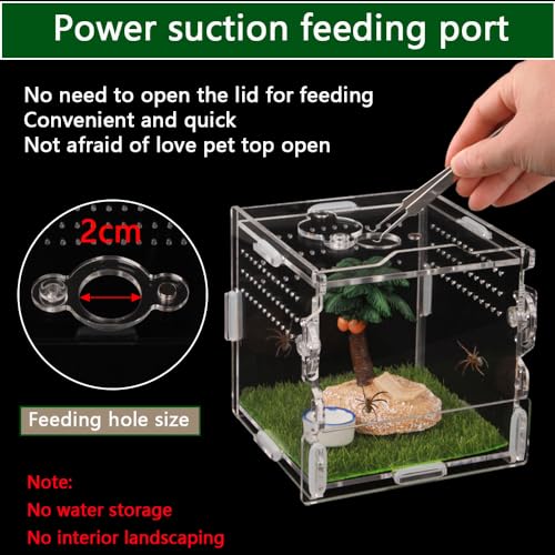 Jumping Spider Enclosure 4x4x4 Acrylic Clear Cage - color: Transparency-Basic