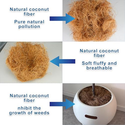 Long Coconut Husk Fiber Mulch Silk for Orchids Clean Coconut Shell Moss Covering 0.66 Pounds - size: 300 grams/0.66 pounds