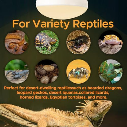 Reptile Heat Lamp 2Pack 50W Reptile Sun Lamp Self-Ballasted Vapor Basking Spot Lamp/Bulb/Light for Reptile and Amphibian E26 - size: Day Light-50W-2pcs
