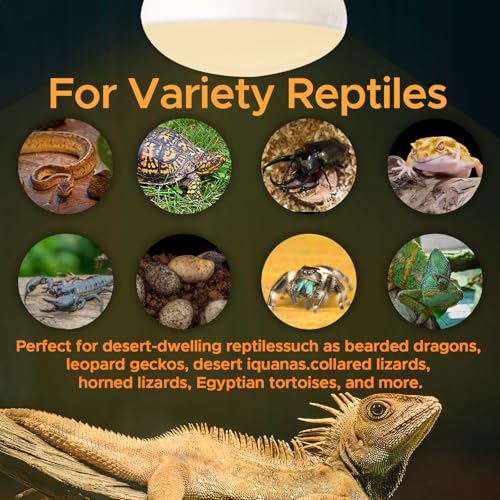 Reptile Heat Lamp 75W Sun Lamp Self-Ballasted Vapor Basking Spot Lamp/Bulb/Light for Reptile and Amphibian E26-2pcs - size: Day Light-75W-2pcs