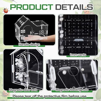 Teenyyou 9.45 x 7.3 x 4.7 Inches Extra Large Jumping Spider Enclosure Acrylic Tarantula Enclosure Reptile Habitat with Handle and Magnetic Door for Reptiles, Amphibians and Spiders