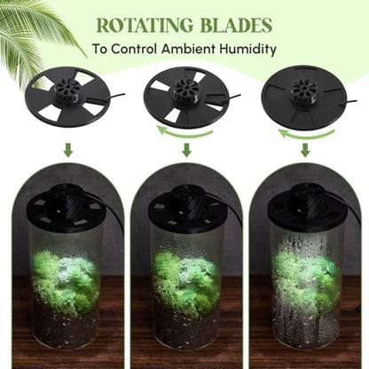 Maxdot Glass Plant Terrarium Kit with LED Grow Light, Desk Terrarium for Venus Fly Trap, Succulents, Moss & Miniature Garden, Borosilicate Glass Desktop Planter for Home Office(7.9 x 3.9 Inch) - size: 7.9 x 3.9 Inch