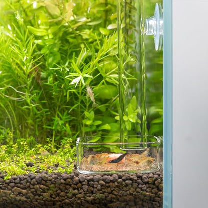 LINLAN 7.78 Inch Glass Shrimp Feeder, Aquarium Feeding Tube and Square Bowl with Two Suction Cups to Prevent Food from Spreading, for Crystal Shrimp and Cherry Shrimp - size: 20CM