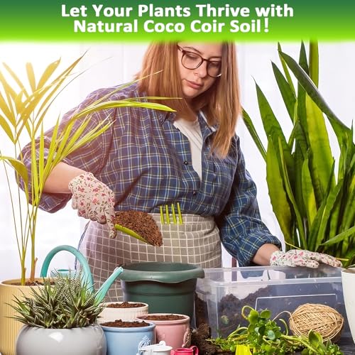 Legigo 2 Pack Premium Coco Coir Brick for Plants- 100% Organic Compressed Coconut Coir Bricks Starting Mix, Coco Coir Fiber Coconut Husk for Planting, Gardening, Potting Soil Substrate, Herbs - color: Pack of 2