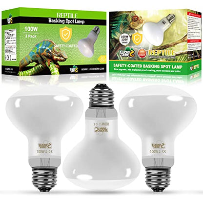 LUCKY HERP New Upgrade 3 Pack 100W Reptile Heat Lamp Bulb (3nd Gen, Safer), Amphibian UVA Heat Light Bulb, Reptile Basking Daylight Spot Lamp Bulb for Bearded Dragon, Lizard, Tortoise Heating Use