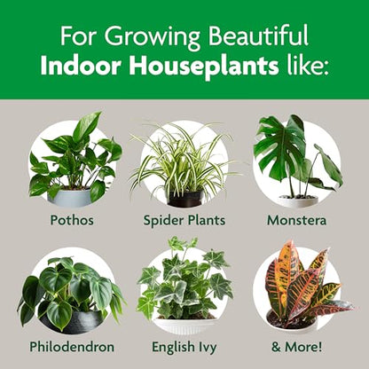 Miracle-Gro Indoor Potting Mix, Blended for a Variety of Houseplants, Feeds for up to 6 Months, 6 qt., 3-Pack - size: 6 qt (3-Pack), style: 6 QT