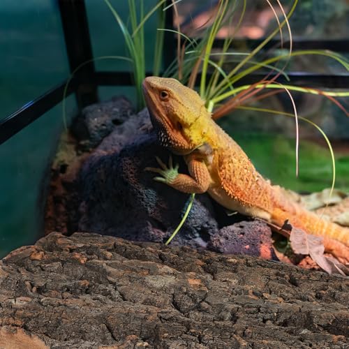 Toddmomy 4pcs Bark Fish Tank Decoration Versatile Terrarium Climbing Bark for Snake and Gecko Habitat Safe Materials for Reptile and Aquarium Setup Trimmable Design for - size: 4pcs