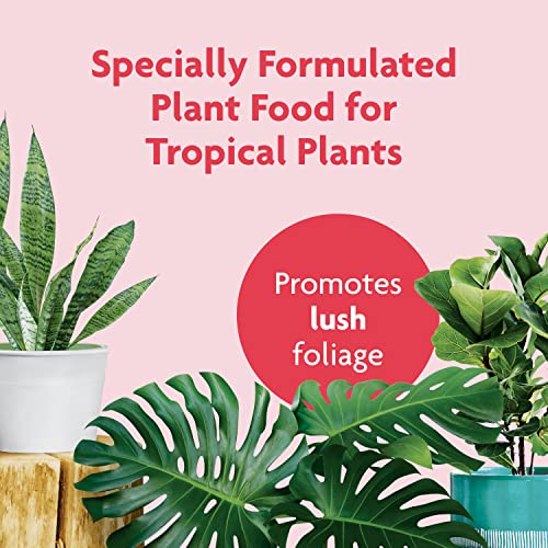 Miracle-Gro Tropical Houseplant Food - Liquid Fertilizer for Tropical Houseplants, 8 fl. oz., 2-Pack - size: 2 Pack, style: Plant Food