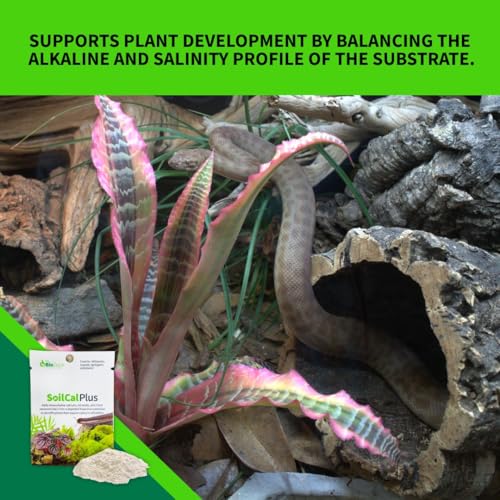 The Bio Dude Soil Cal Plus - Bioactive Substrate Calcium Additive. Great for Isopods, Millipedes and Plants!