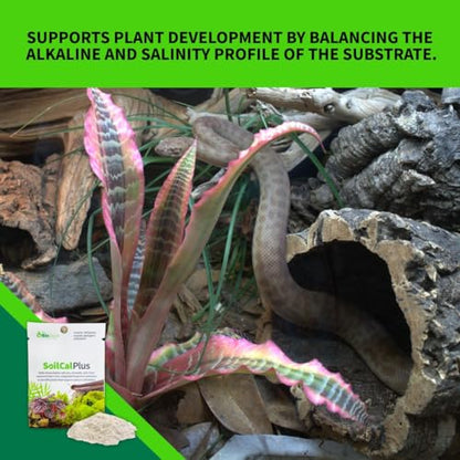 The Bio Dude Soil Cal Plus - Bioactive Substrate Calcium Additive. Great for Isopods, Millipedes and Plants!