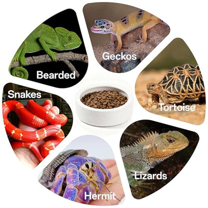 Escape-Proof Reptile Food Dish Bowl, Ceramic Reptile Feeding Dish & Small Animal Bowl for Lizard, Leopard Gecko, Hermit Crab, Hamster, Anti Escape Live Food & Water Dish (3x1in) - size: Medium-1Pack