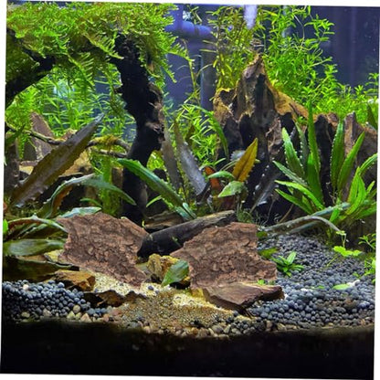 20pcs Terrarium Tree Bark Decor for Reptile Tanks Natural Aquarium Background Bark Decoration Habitat for Lizards and Snakes Random Shapes - size: 10.00X9.00X0.50CM