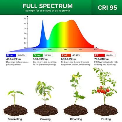 SANSI LED Grow Lights for Indoor Plants, 450W Full Spectrum Gooseneck Clamp Grow Lamp, 30W Power Plant Light with High PPFD for Seeding, Lifetime Free Bulb Replacement Plant Lights for Indoor, 3 Head - size: 3 Head 1 Pack
