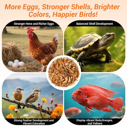 Mighty Crunch Mix Aquatic Turtle Food - 1 Lbs Resealable Bag of High Protein Insect Blend, Dried Mealworms, River Shrimp, Crickets - for Turtles, Reptiles & Amphibians, Chicken, Birds