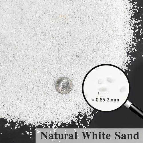 FANTIAN 10 lbs Aquarium White Sand, 0.8-2mm Coarse Sand. Small Gravel for Fish Tank, Succulent Plants Potted, Paintings, Fire Pits, Candle, Vase Filler and Crafts - color: White, size: 10 LB