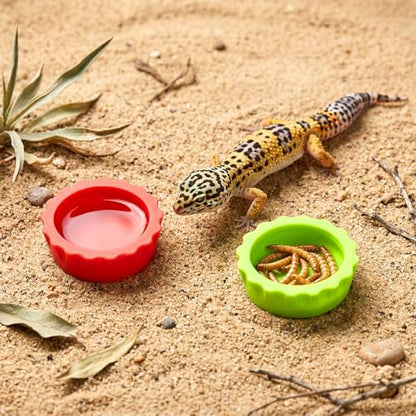 10 PCS Crested Gecko Food Dish Silicone Gecko Feeding Dishes Bowls and Spoon Bearded Dragon Crested Tank Accessories Reusable Reptile Dish with Feeding Spoons for Reptile Tanks Lizard Water Food