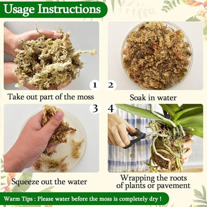Legigo 2.2lb Natural Sphagnum Moss for Plants, 40QT Long Fiber Orchid Moss Potting Mix, Dried Sphagnum Moss for Plants Indoor, Orchid Repotting, Succulent, Carnivorous Plants, Terrarium and Reptiles - size: 2.2lb