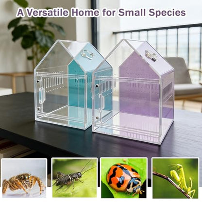 Magnetic Acrylic Spider Enclosure 5.3x5.3x7.3 Inch, House Shape Terrarium with Sparkling Purple Background for Jumping Spiders, Tarantula Slings & Mantis, Escape-Proof Habitat with Ventilation