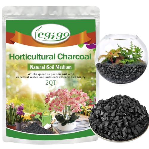 Legigo 2 QT Horticultural Charcoal- Natural Charcoal for Plants, Biochar Soil Amendment for Indoor Plants, Terrariums, Orchids Potting Mix and Gardening - color: 2 QT
