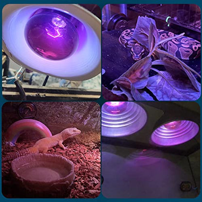2 Pack 100W Night Heat Reptile Infrared Moonlight Bulb, Black Glass Cover Moonlight Pet Light UVA Spot Lamp for Reptile & Amphibian, Lizard, Bearded Dragon, Chameleon