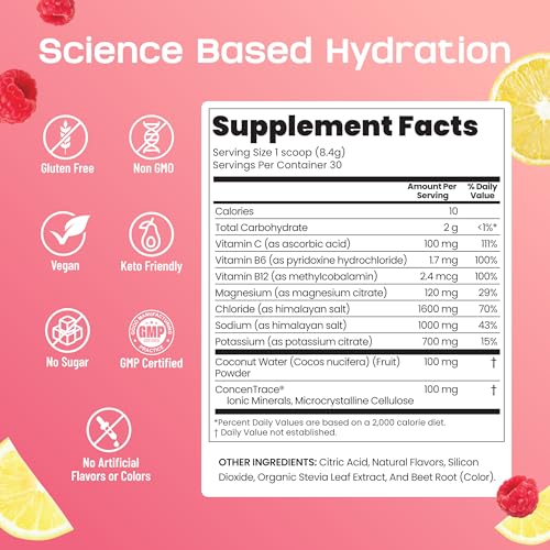 2400 MG Electrolyte Powder – Zero Sugar Keto Electrolytes for Hydration & Fasting Support – with Magnesium, Potassium, Coconut Water, & Himalayan Salt – Raspberry Lemonade Lyte Up – 30 Servings