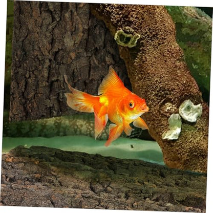 2 Pcs Cork Bark Aquarium Decoration for Fish Tank Ornament Natural Tree Trunk Terrarium Background and Climbing Bark Reptile Habitat Decor for Snake and Gecko Fade Resistant Fish