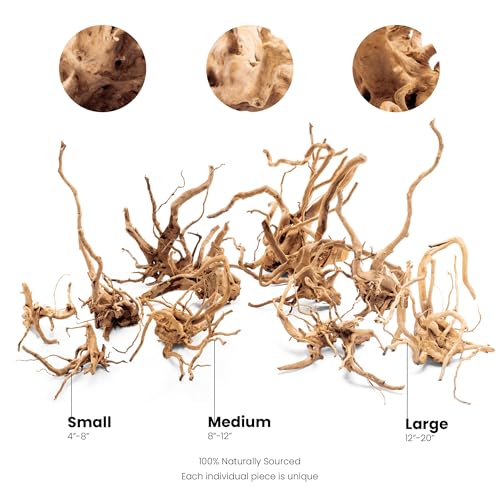 Ultum Nature Systems Driftwood - Spider Drift Wood for Fish Tank, Planted Tank, Terriarium, Paludarium - Versatile Natural Driftwood Decor, Events Wood Centerpiece - Spider Wood, L 15-20", 3 Pack - size: 15-20" 3-Pack