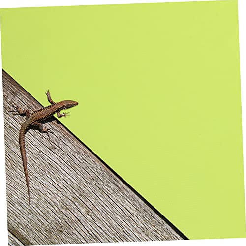 SUPVOX Reptile Carpet Mat and Washable Terrarium Liner for Bearded Dragons Tortoises Snakes and Lizards Easy Clean Habitat Flooring Green