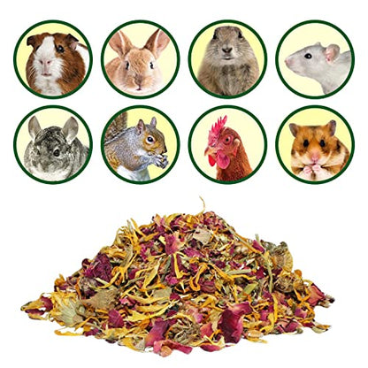 Flower Fusion Treat - Healthy Natural Dried Flower Herbivore Treat - Chinchillas, Guinea Pigs, Rabbits, Prairie Dogs, Degus, Hamsters, Rats, Squirrels, Sugar Gliders & Other Small Pets (0.85 oz) - size: 0.85 Ounce (Pack of 1)
