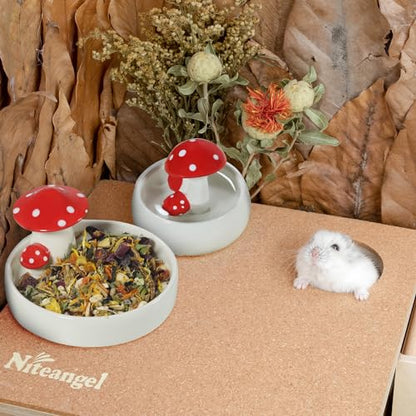 Niteangel Hamster Feeding & Water Bowls- Mushroom Ceramics Series Food Dish Feeding Bowls for Dwarf Syrian Hamsters Gerbils Mice Rats or Other Similar-Sized Small Pets (Water Bowl) - size: Water Bottle