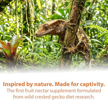 CTWPets Gecko Treat – Liquid Fruit Nectar Drops for Crested Gecko, Day Gecko & Gargoyle Gecko | Treat, Water Additive & CGD Mixer (2oz, Mango Papaya) - size: 2 Fl Oz (Pack of 1)