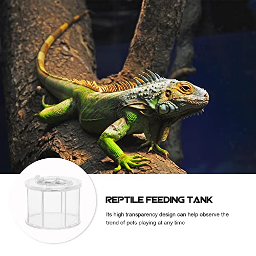BESPORTBLE Transparent Acrylic Reptile Breeding Box Crawling Pet Holder Ventilation for Easy Maintenance Terrarium for Turtles Snakes Spiders and Crabs
