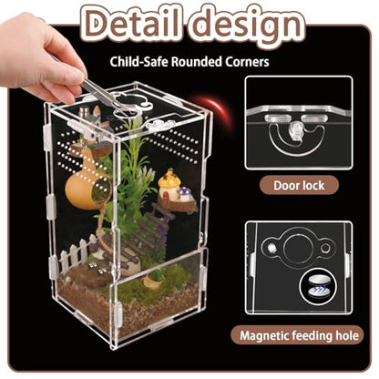 Jumping Spider Enclosure Acrylic Terrarium 8x4x4 - color: Transparency-Basic