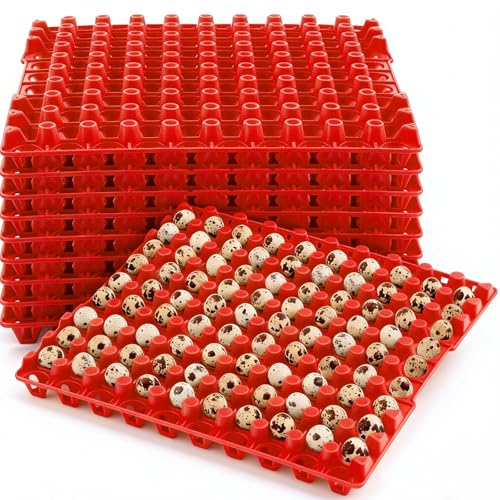 Teenyyou 10 Pcs 90 Egg Plastic Trays Quail Egg Flats Holder for Quail Pigeon Dove Bird Flat Carton (Red) - color: Red