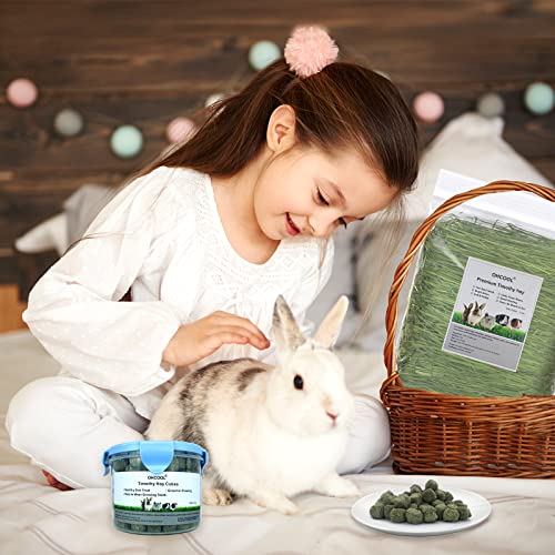 Timothy Hay Cubes 10 oz with Small Size - Timothy Grass Pellets for Tortoises Rabbits Guinea Pig Chinchilla | Small size timothy grass pellets, suitable for tortoises, rabbits, guinea pigs, chinchillas - size: 10 Ounce (Pack of 1)