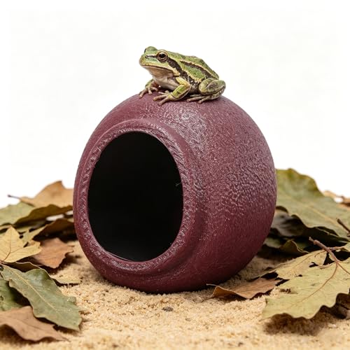 TIDTALEO Egg Shaped Frog Aquarium Habitat with Suction Cup Stability and Ventilated Design Plastic Small Frog Terrarium for Amphibian Pets Decorations and Biological Observation