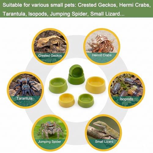 Reptile Food Dish and Water Bowl for Leopard Gecko, Crested Gecko Food Dish, Shallow Dish for Tarantula, Hermit Crab, and Small Pets - Bearded Dragon Tank Accessories