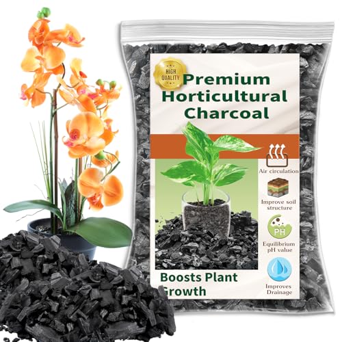 Horticultural Charcoal for Plants,2QT Premium Activated Charcoal for Indoor and Outdoor Plants,Ideal for Soil Amendment, Orchids,Succulent,Cactus, Terrariums & Gardening - size: Horticultural Charcoal 2QT