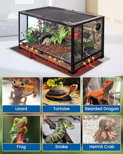 MQ Reptile Terrarium Heat Pad with LCD Digital Aquarium Thermometer, 6 x 11in Power Adjustment Under Tank Heater Mat for Pets, Small Animals, Seedling, 7W - size: 7W, 6*11 in