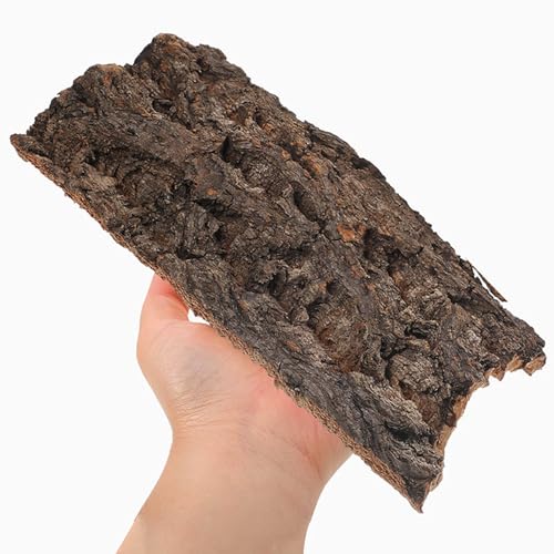 4pcs Natural Reptile Climbing Bark Decor for Terrariums for Lizards Bearded Dragons and Habitats Pet Environments
