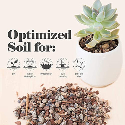Bonsai Jack Succulent, Cactus and Bonsai Soil - Jacks Gritty Mix - 2 Gallons – Fast Draining – Fight Root Rot – Optimized pH - size: 2 Gallon (8 Dry Quarts)