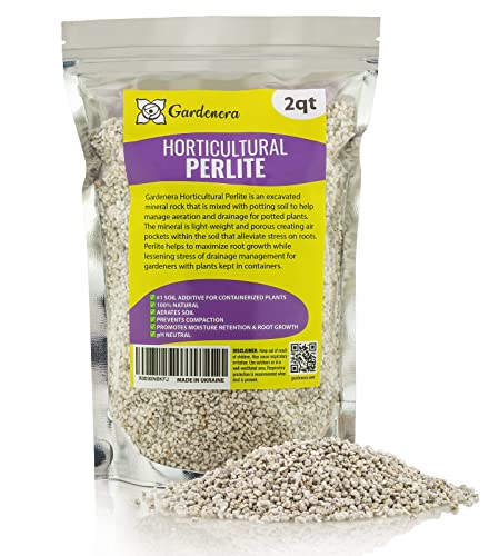 Premium Organic Perlite - (Made in Ukraine) Horticultural Soil Amendment for Indoor & Outdoor Container Plants for Drainage Management and Enhanced Growth - 2 Quart - color: PERLITE, size: 2 Quart