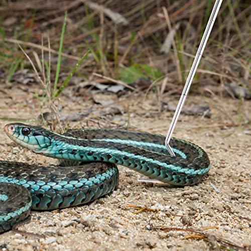 Collapsible Snake Hook Stainless Steel Extensible Snake Catcher Capture Hook for Catching Handling Grabber Separate Small Pet Snake