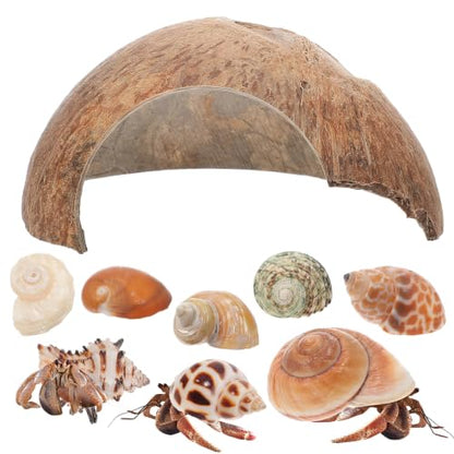 SHINEOFI Coconut Shell Hideout with 8 Large Hermit Crab Seashells Natural Reptile Shelter Small Pet Hide Cave for Aquarium Turtle Rest Hut and Lizard Habitat Decor